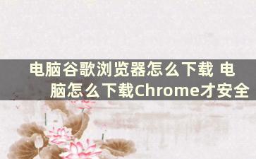 电脑谷歌浏览器怎么下载 电脑怎么下载Chrome才安全